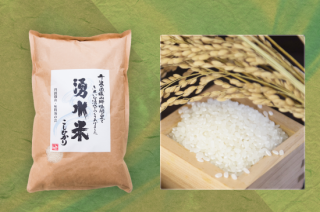 丹波篠山米 越光(コシヒカリ)10kg - 阪本屋公式ネットショップ 丹波篠山米 越光(コシヒカリ)10kg - 阪本屋公式ネットショップ