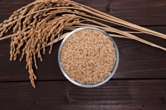 無農薬栽培の玄米 越光（コシヒカリ）5kg - 阪本屋公式ネット