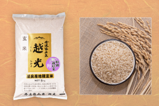 新米　玄米 減農薬栽培米 越光 5kg　令和5年産