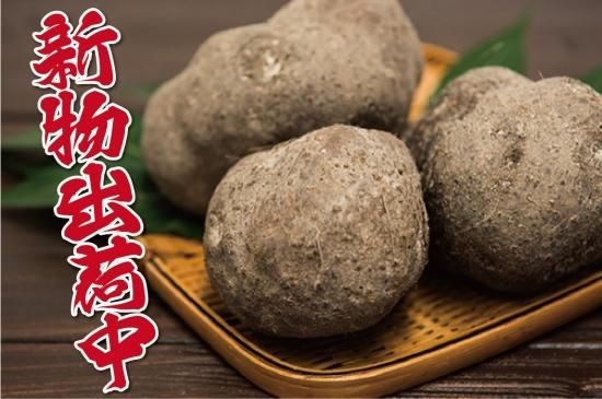 丹波篠山産 特選「山の芋」 - 阪本屋公式ネットショップ 丹波篠山産 特選「山の芋」 - 阪本屋公式ネットショップ