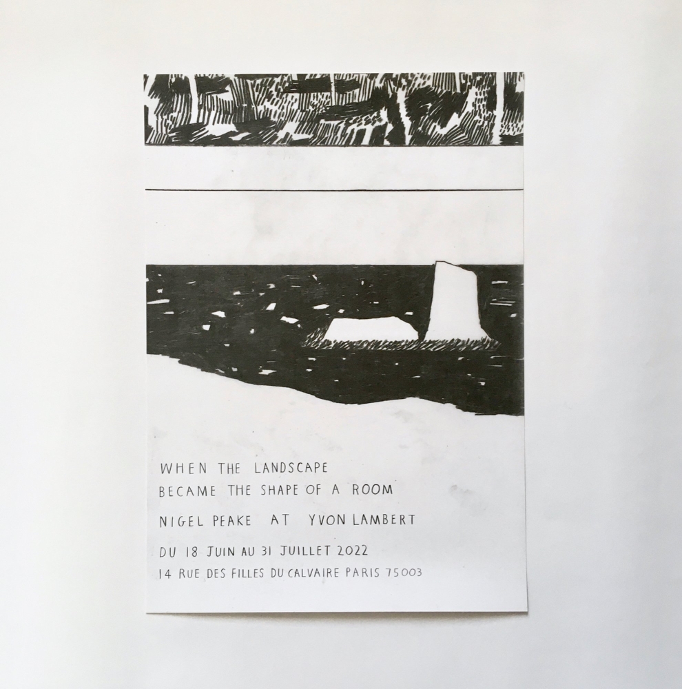 Nigel Peake - When the landscape became the shape of a