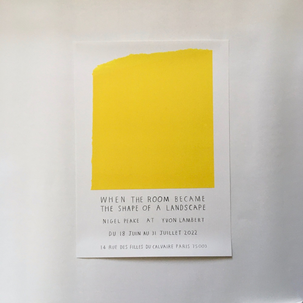 Nigel Peake - When the room became the shape of a landscape_A