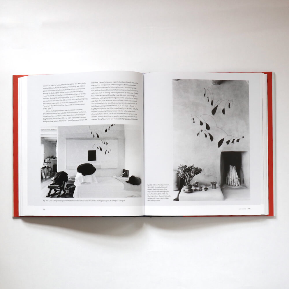 Georgia O'Keeffe / Living Modern - organ-online.com