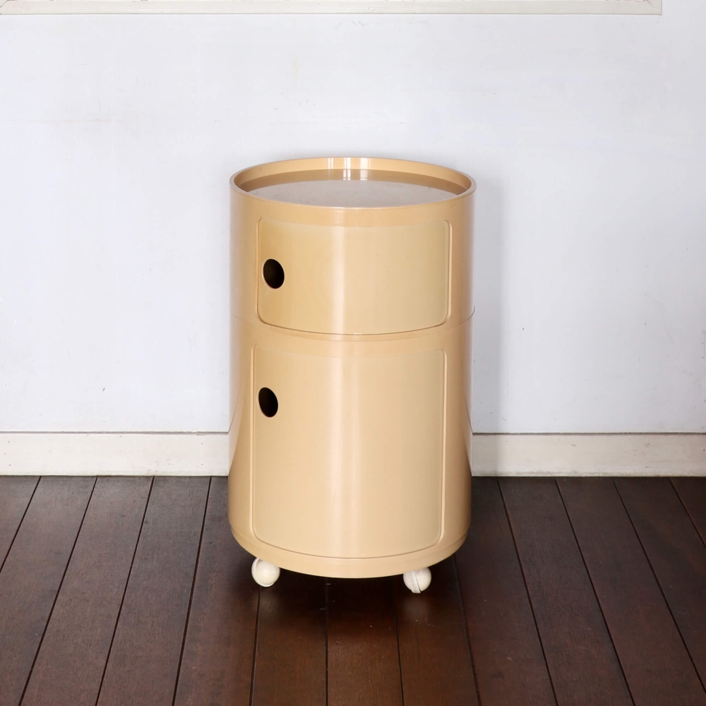 <img class='new_mark_img1' src='https://img.shop-pro.jp/img/new/icons39.gif' style='border:none;display:inline;margin:0px;padding:0px;width:auto;' />Anna Castelli / Kartell / 
