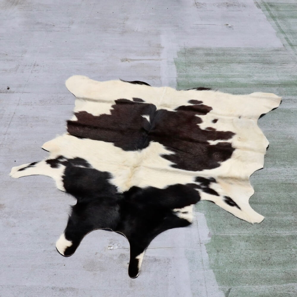 Cow rug_233