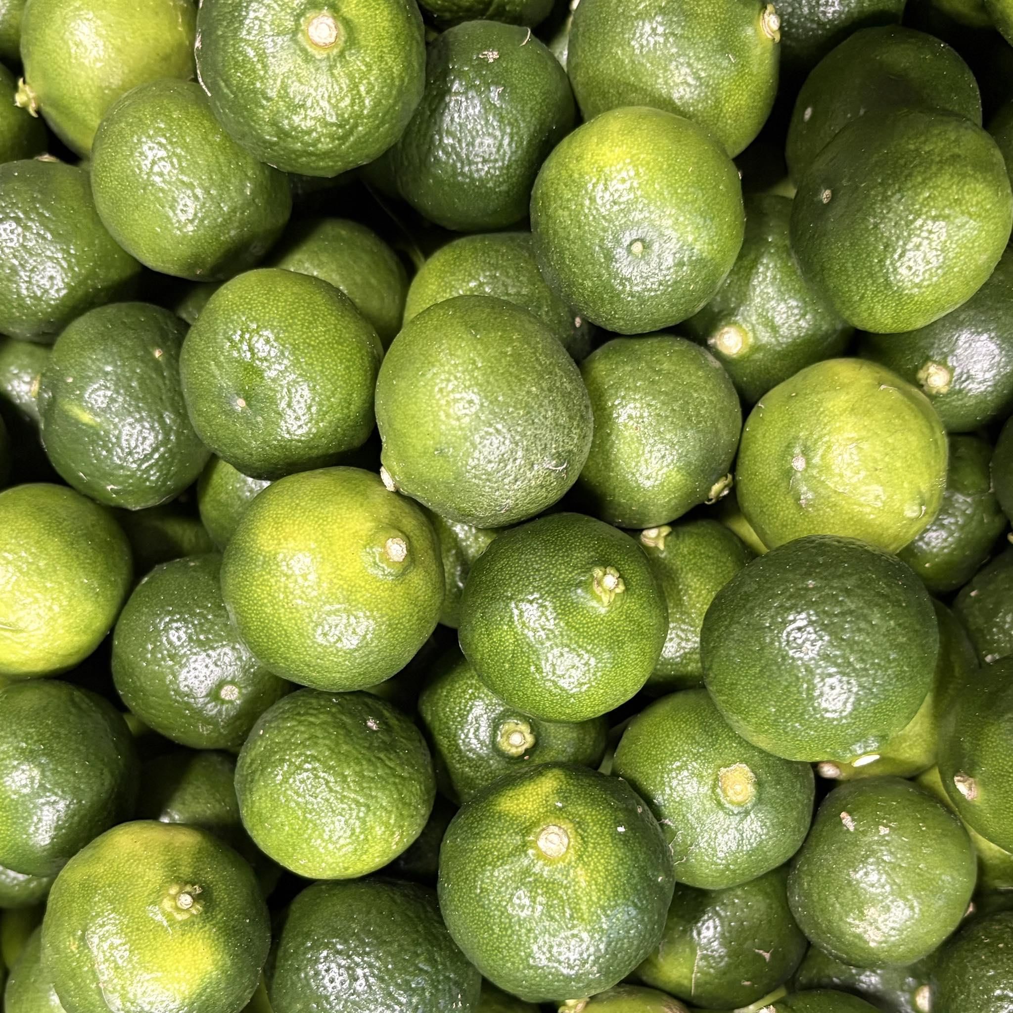 ̽ܤäפ 