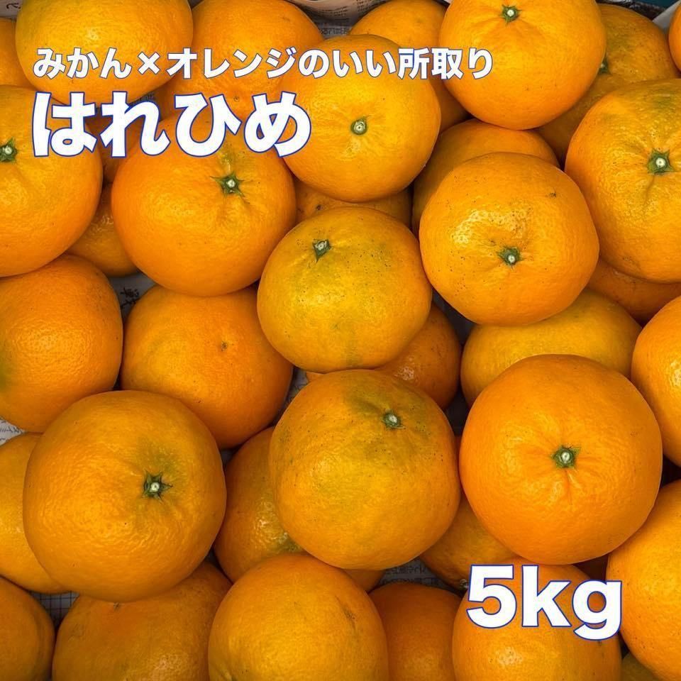 <img class='new_mark_img1' src='https://img.shop-pro.jp/img/new/icons25.gif' style='border:none;display:inline;margin:0px;padding:0px;width:auto;' />ϤҤ  ξʲ