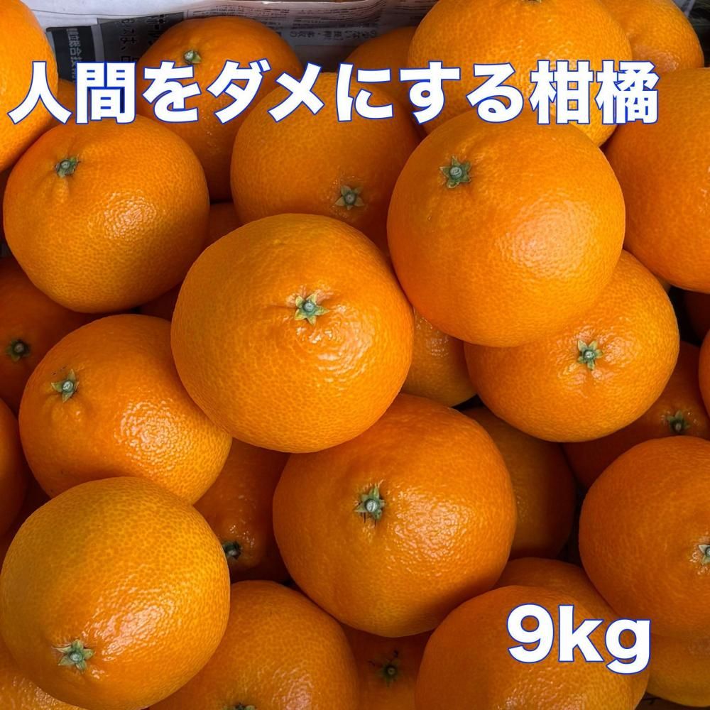 <img class='new_mark_img1' src='https://img.shop-pro.jp/img/new/icons1.gif' style='border:none;display:inline;margin:0px;padding:0px;width:auto;' />Բġۿʹ֤ˤ봻̡̾ Ȥޤɤʡˣξʲ