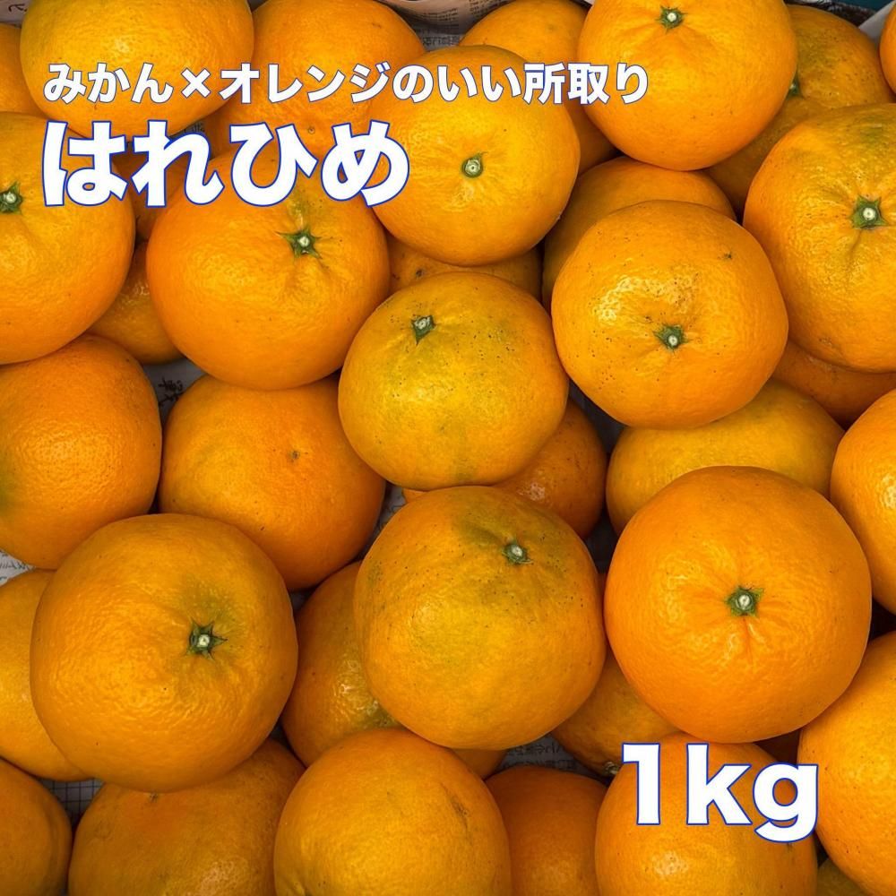 <img class='new_mark_img1' src='https://img.shop-pro.jp/img/new/icons1.gif' style='border:none;display:inline;margin:0px;padding:0px;width:auto;' />ϤҤ  ξʲ