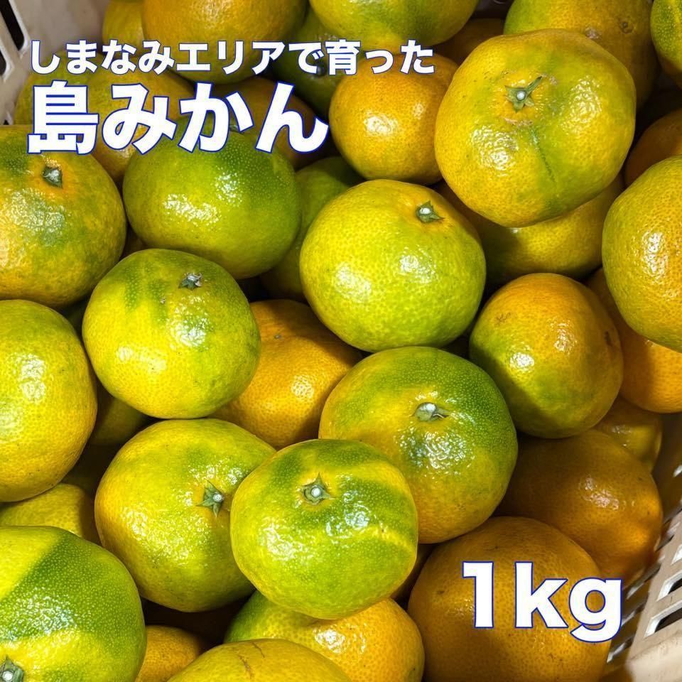 <img class='new_mark_img1' src='https://img.shop-pro.jp/img/new/icons1.gif' style='border:none;display:inline;margin:0px;padding:0px;width:auto;' />ߤ 10ġˤξʲ