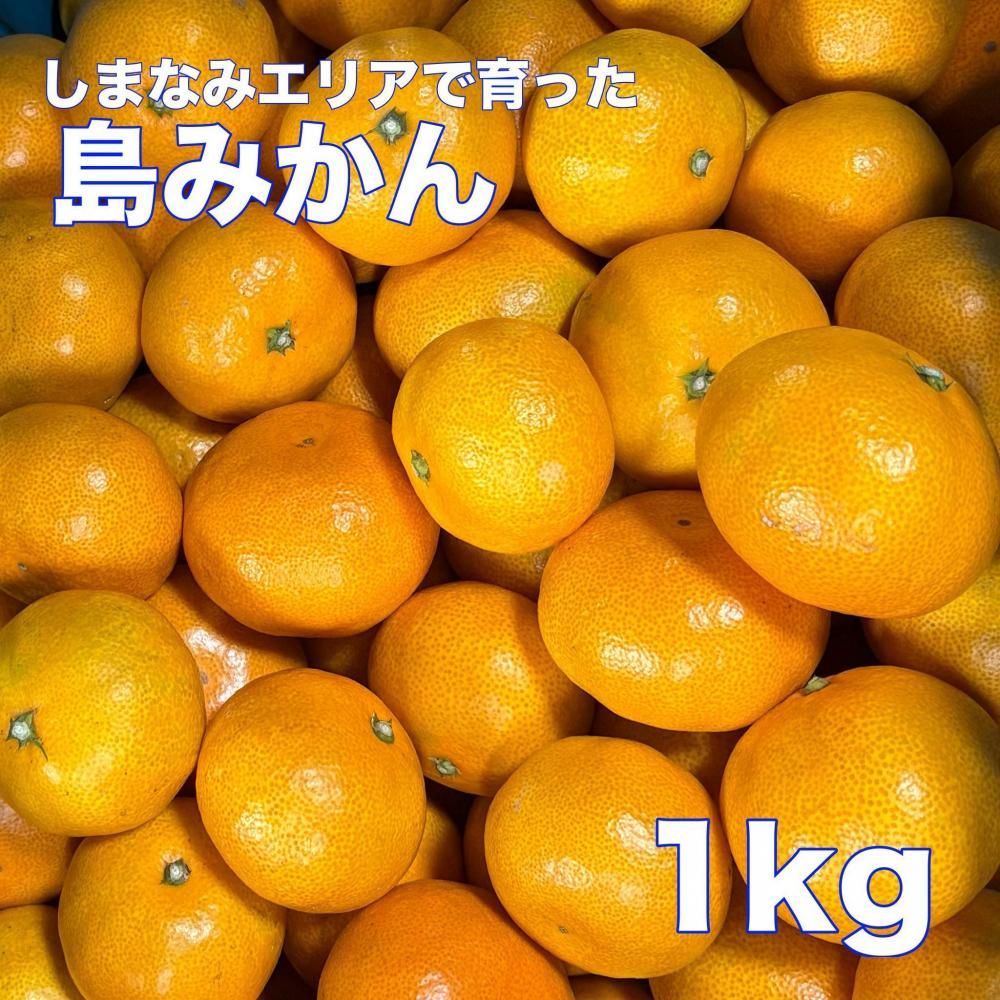 <img class='new_mark_img1' src='https://img.shop-pro.jp/img/new/icons1.gif' style='border:none;display:inline;margin:0px;padding:0px;width:auto;' />ߤ 10ġˤξʲ