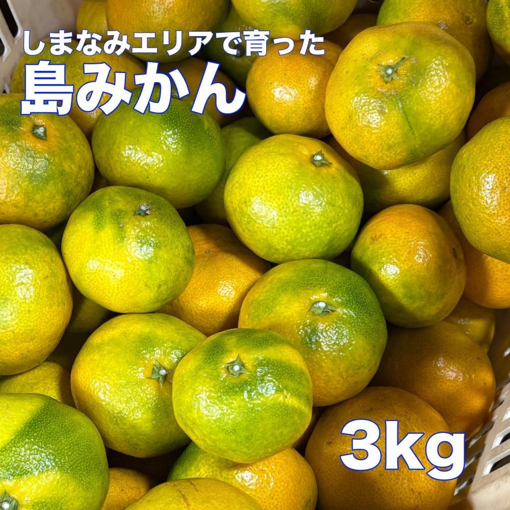 <img class='new_mark_img1' src='https://img.shop-pro.jp/img/new/icons1.gif' style='border:none;display:inline;margin:0px;padding:0px;width:auto;' />ߤ ξʲ