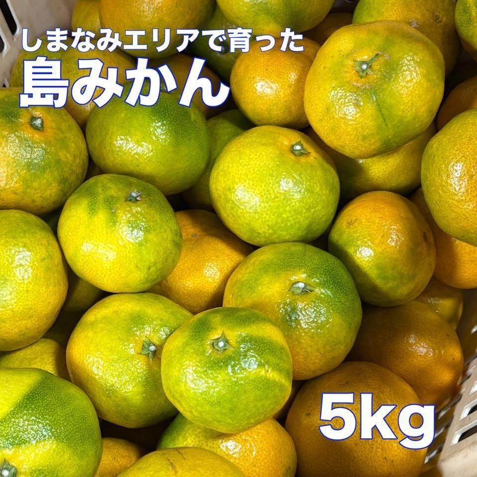 <img class='new_mark_img1' src='https://img.shop-pro.jp/img/new/icons1.gif' style='border:none;display:inline;margin:0px;padding:0px;width:auto;' />ߤ ξʲ