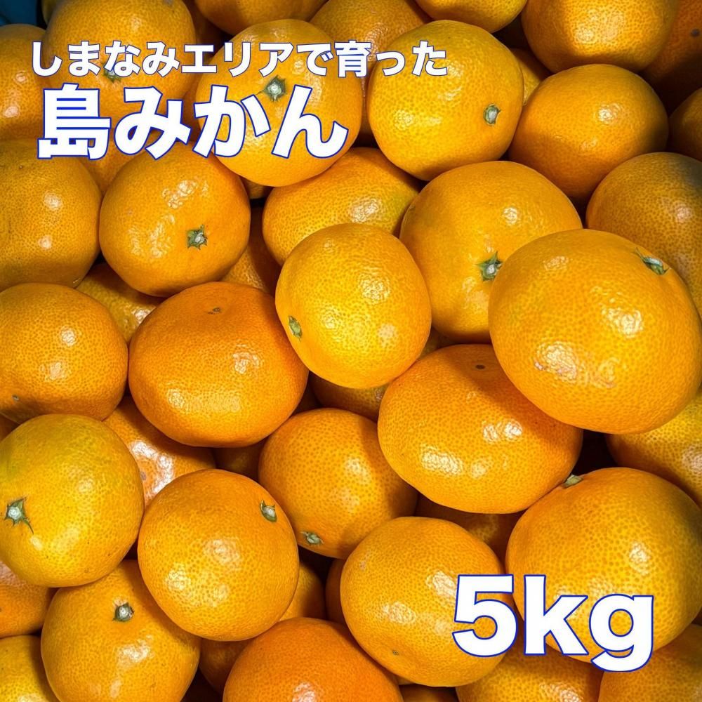 <img class='new_mark_img1' src='https://img.shop-pro.jp/img/new/icons1.gif' style='border:none;display:inline;margin:0px;padding:0px;width:auto;' />ߤ ξʲ