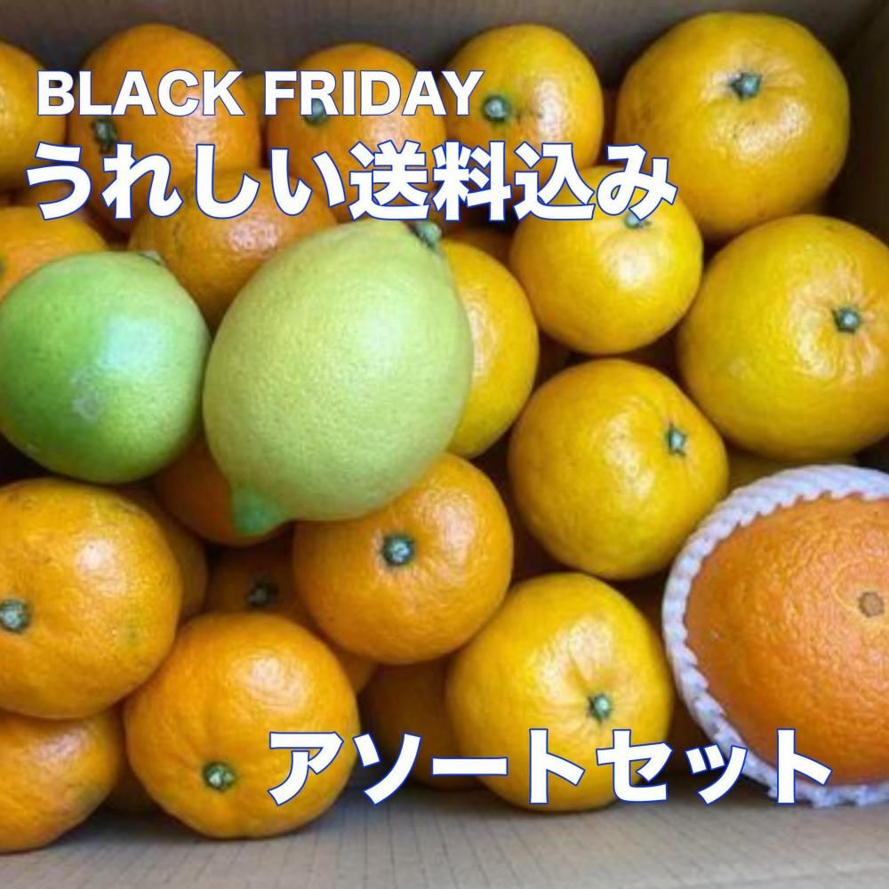 <img class='new_mark_img1' src='https://img.shop-pro.jp/img/new/icons1.gif' style='border:none;display:inline;margin:0px;padding:0px;width:auto;' />12ܺȯBLACK FRIDAY!?줷ߥȥåȤξʲ