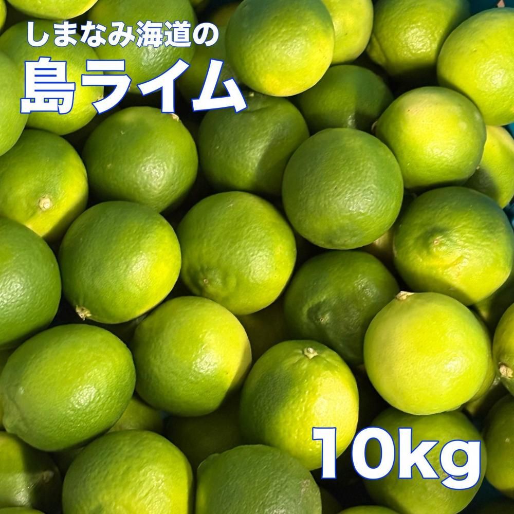 <img class='new_mark_img1' src='https://img.shop-pro.jp/img/new/icons35.gif' style='border:none;display:inline;margin:0px;padding:0px;width:auto;' />͵ޤʤ߳ƻ饤 10ξʲ