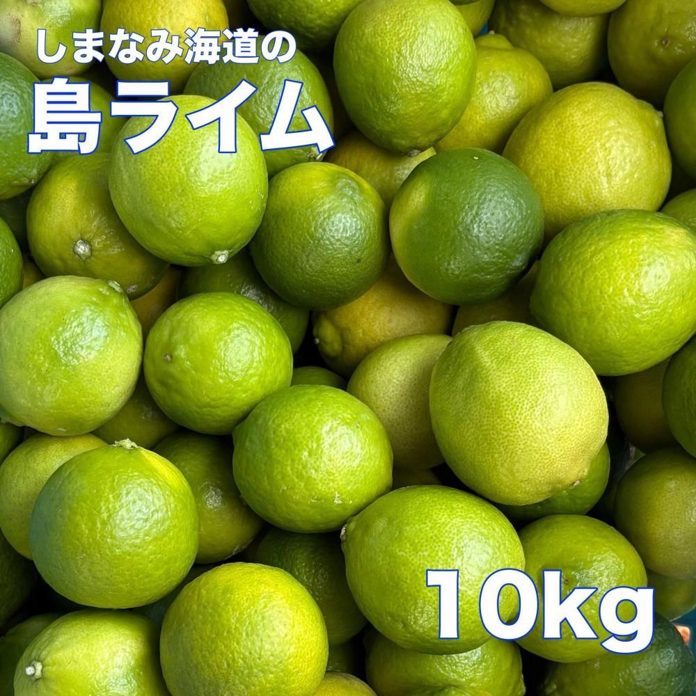 <img class='new_mark_img1' src='https://img.shop-pro.jp/img/new/icons35.gif' style='border:none;display:inline;margin:0px;padding:0px;width:auto;' />͵ޤʤ߳ƻ饤 10ξʲ