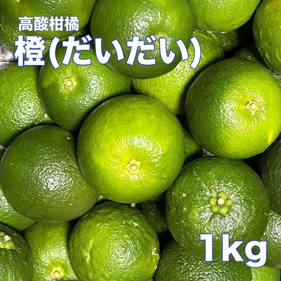 <img class='new_mark_img1' src='https://img.shop-pro.jp/img/new/icons1.gif' style='border:none;display:inline;margin:0px;padding:0px;width:auto;' />ʤˣξʲ