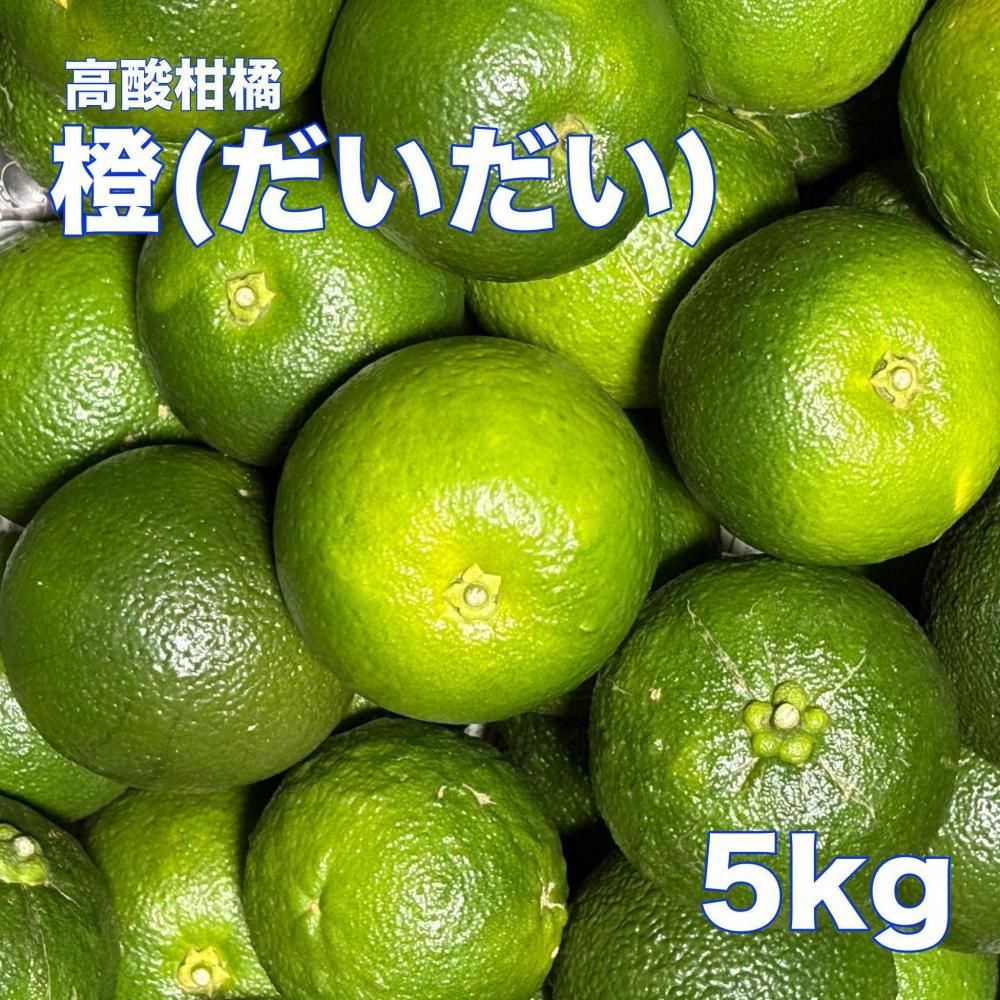 <img class='new_mark_img1' src='https://img.shop-pro.jp/img/new/icons1.gif' style='border:none;display:inline;margin:0px;padding:0px;width:auto;' />ʤˣξʲ