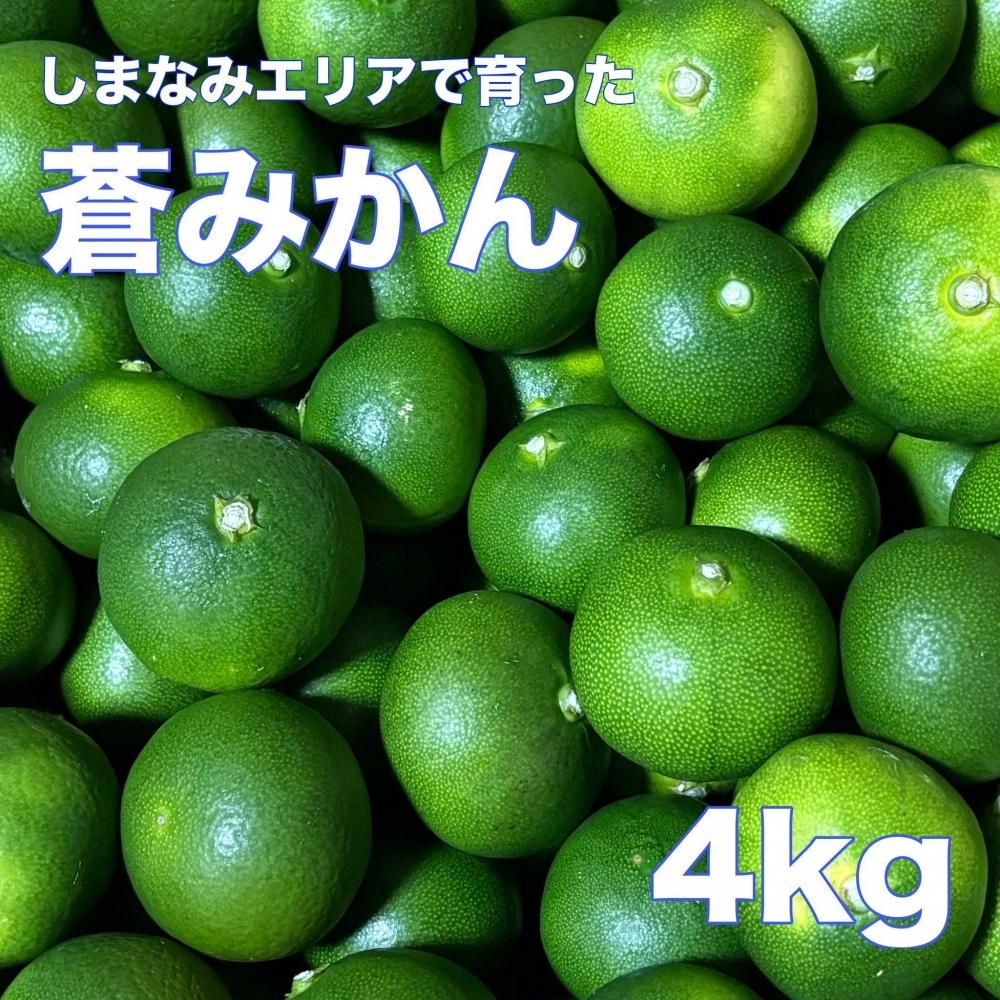 <img class='new_mark_img1' src='https://img.shop-pro.jp/img/new/icons1.gif' style='border:none;display:inline;margin:0px;padding:0px;width:auto;' />¢ءۤä  ߤ ξʲ