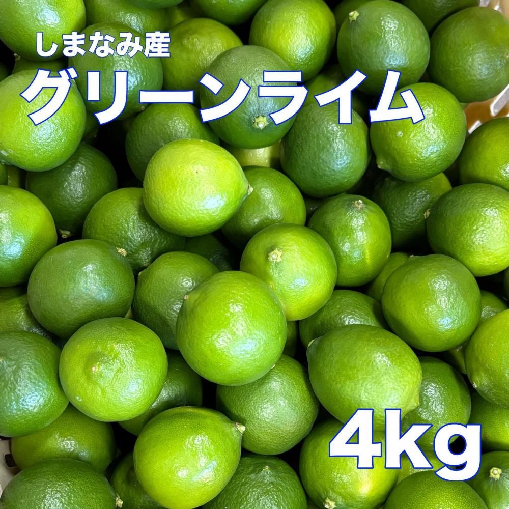 <img class='new_mark_img1' src='https://img.shop-pro.jp/img/new/icons35.gif' style='border:none;display:inline;margin:0px;padding:0px;width:auto;' />¢ءۤޤʤ߳ƻ饤 ξʲ