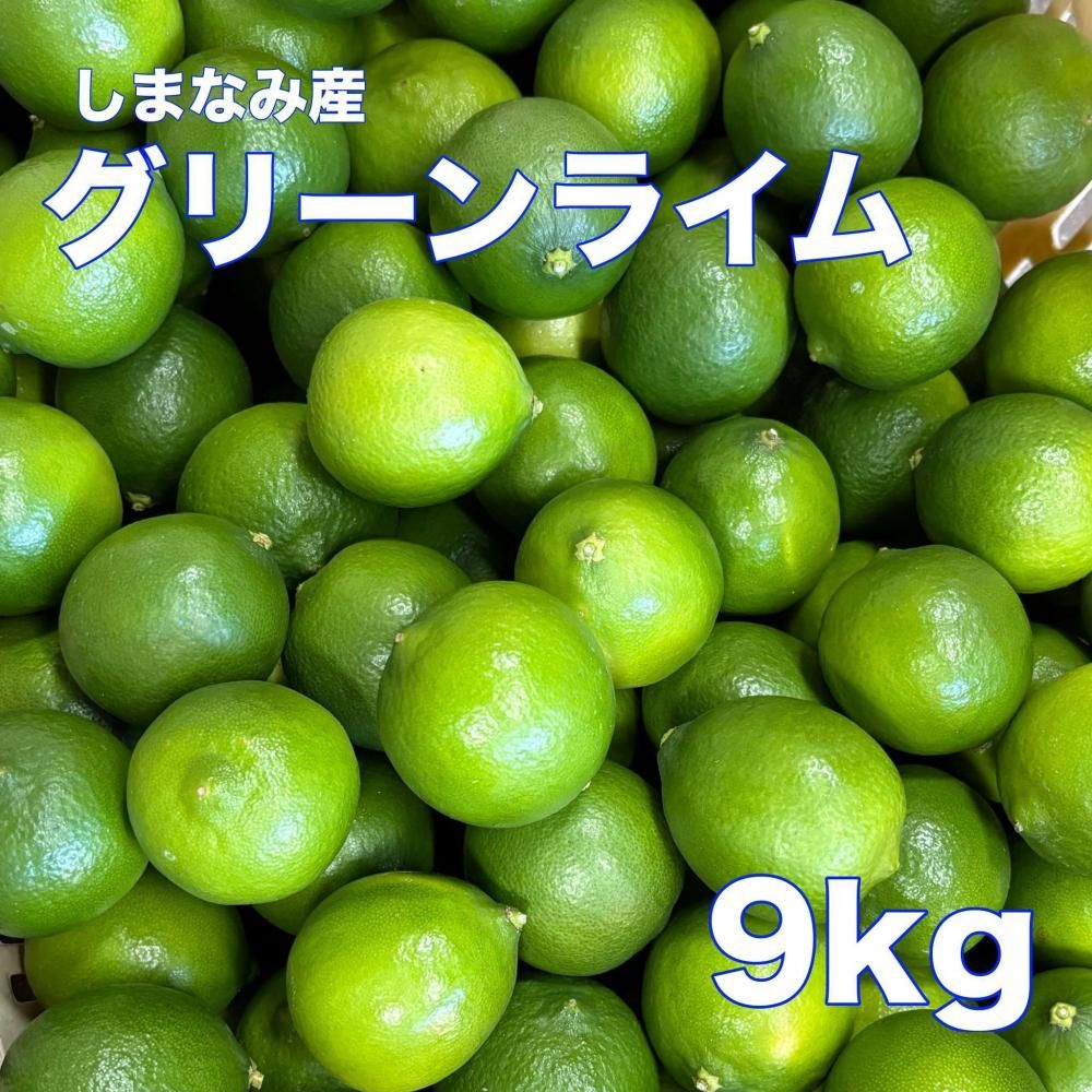 <img class='new_mark_img1' src='https://img.shop-pro.jp/img/new/icons35.gif' style='border:none;display:inline;margin:0px;padding:0px;width:auto;' />¢ء͵ޤʤ߳ƻ饤 ξʲ