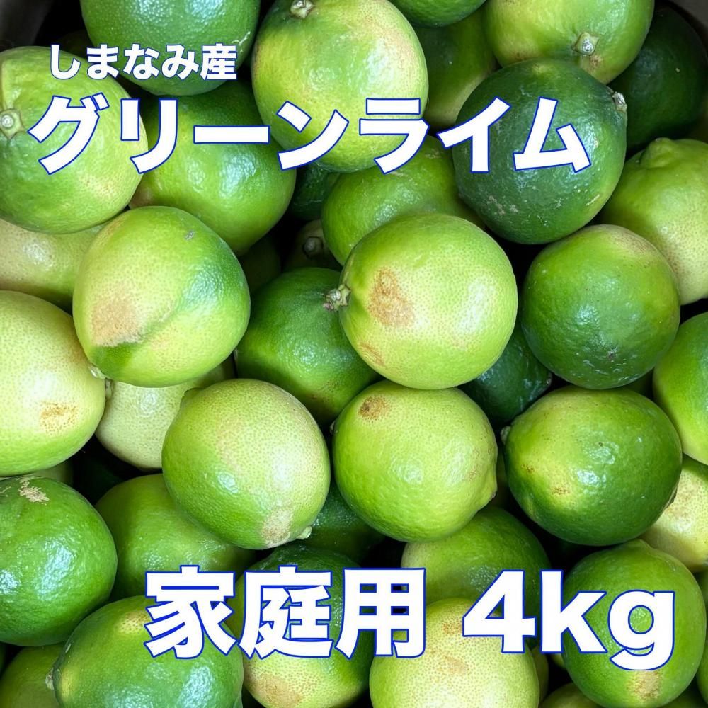 <img class='new_mark_img1' src='https://img.shop-pro.jp/img/new/icons1.gif' style='border:none;display:inline;margin:0px;padding:0px;width:auto;' />¢ءۤޤʤ߳ƻ饤 ѡξʲ