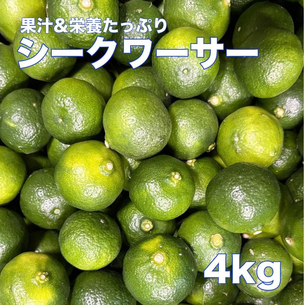 <img class='new_mark_img1' src='https://img.shop-pro.jp/img/new/icons1.gif' style='border:none;display:inline;margin:0px;padding:0px;width:auto;' />¢ء۲̽ܤäפ Ԥξʲ