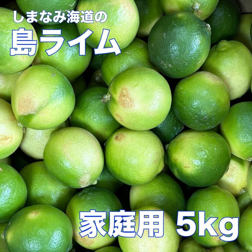 <img class='new_mark_img1' src='https://img.shop-pro.jp/img/new/icons35.gif' style='border:none;display:inline;margin:0px;padding:0px;width:auto;' />ޤʤ߳ƻ饤 ѡξʲ