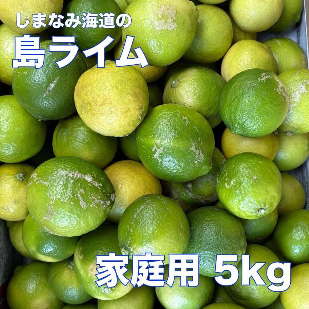 <img class='new_mark_img1' src='https://img.shop-pro.jp/img/new/icons35.gif' style='border:none;display:inline;margin:0px;padding:0px;width:auto;' />ޤʤ߳ƻ饤 ѡξʲ