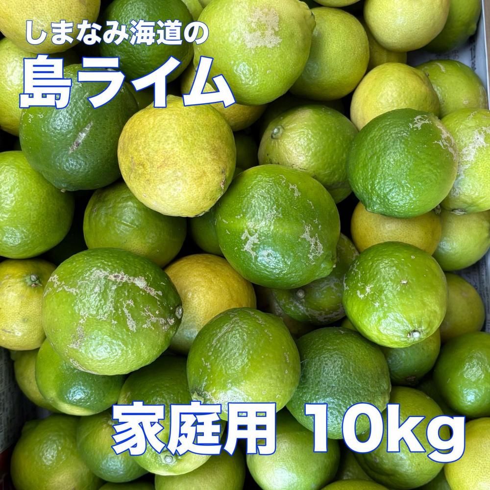 <img class='new_mark_img1' src='https://img.shop-pro.jp/img/new/icons35.gif' style='border:none;display:inline;margin:0px;padding:0px;width:auto;' />ޤʤ߳ƻ饤 ѡξʲ