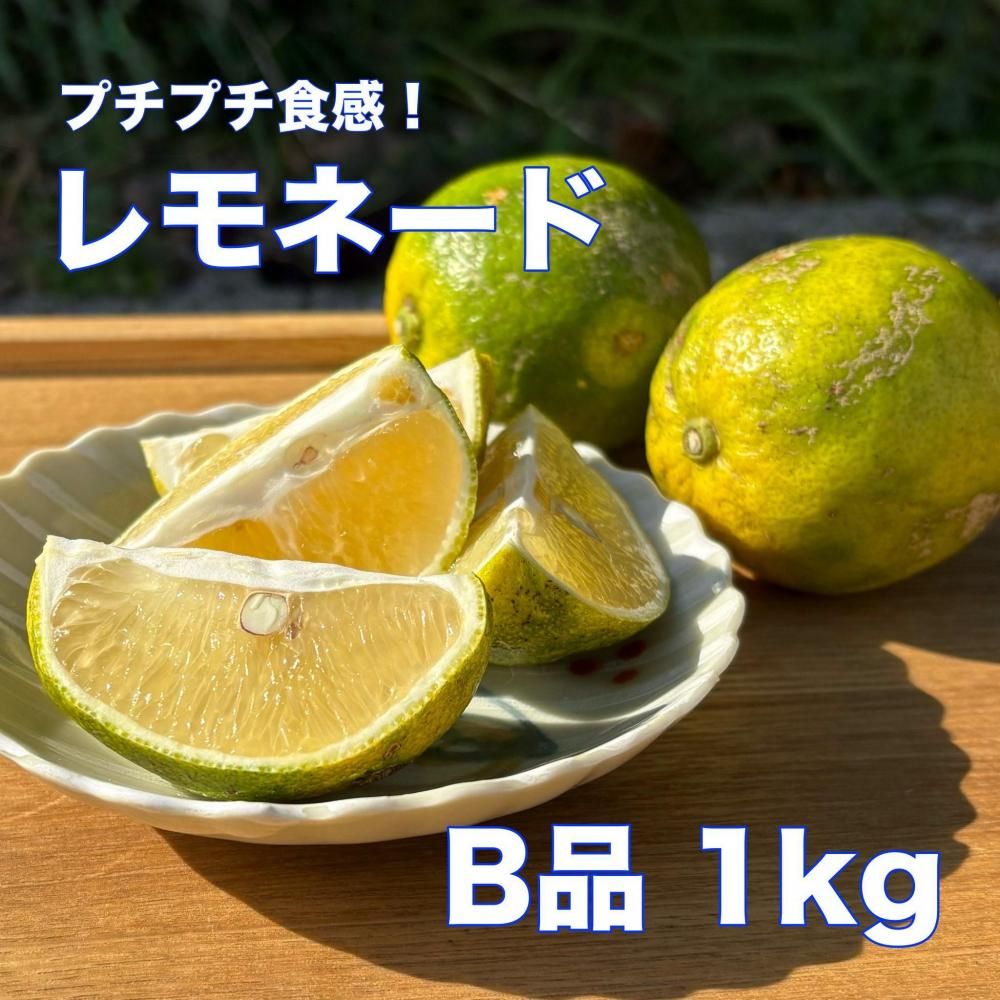 <img class='new_mark_img1' src='https://img.shop-pro.jp/img/new/icons1.gif' style='border:none;display:inline;margin:0px;padding:0px;width:auto;' />ץץ͡ Bʤξʲ