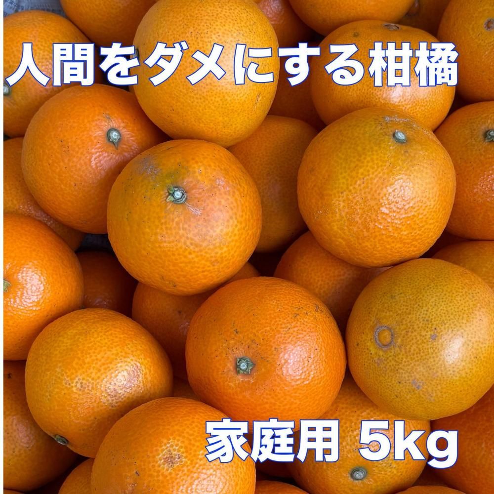 <img class='new_mark_img1' src='https://img.shop-pro.jp/img/new/icons1.gif' style='border:none;display:inline;margin:0px;padding:0px;width:auto;' />Բġۿʹ֤ˤ봻̡̾ Ȥޤɤʡ˲ ξʲ