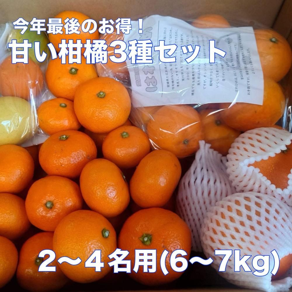 <img class='new_mark_img1' src='https://img.shop-pro.jp/img/new/icons62.gif' style='border:none;display:inline;margin:0px;padding:0px;width:auto;' />�ں�ǯ�Ǹ�Τ������۴Ť����̣��� ��Ȣ���å� (2~4̾��)�ξ��ʲ���