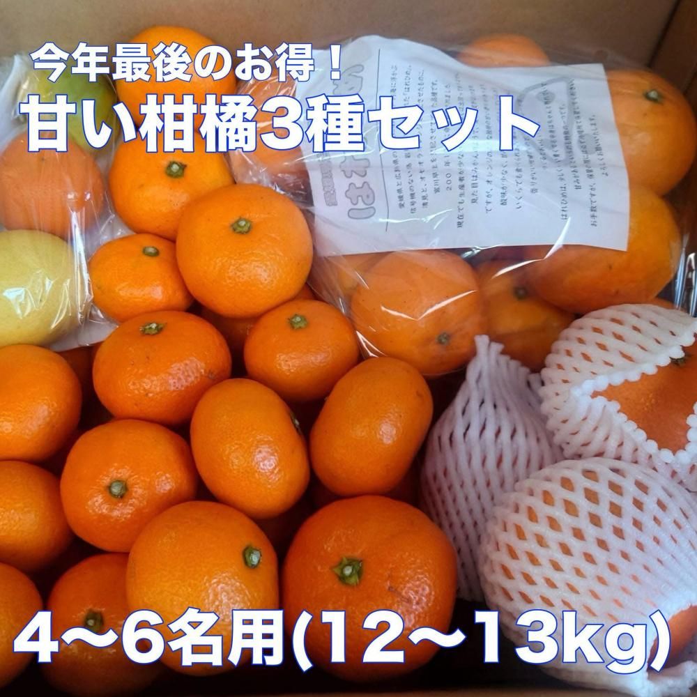 <img class='new_mark_img1' src='https://img.shop-pro.jp/img/new/icons62.gif' style='border:none;display:inline;margin:0px;padding:0px;width:auto;' />�ں�ǯ�Ǹ�Τ������۴Ť����̣��� ��Ȣ���å� (4~6̾��)�ξ��ʲ���