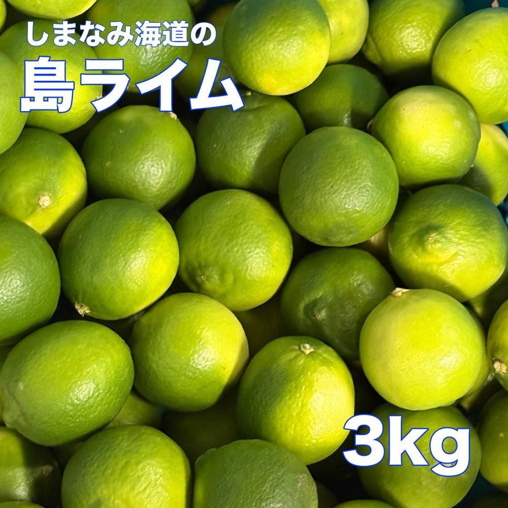 <img class='new_mark_img1' src='https://img.shop-pro.jp/img/new/icons35.gif' style='border:none;display:inline;margin:0px;padding:0px;width:auto;' />ޤʤ߳ƻ饤 ξʲ