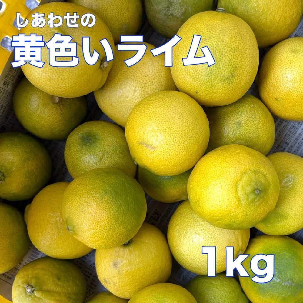 <img class='new_mark_img1' src='https://img.shop-pro.jp/img/new/icons25.gif' style='border:none;display:inline;margin:0px;padding:0px;width:auto;' />β饤 1ξʲ