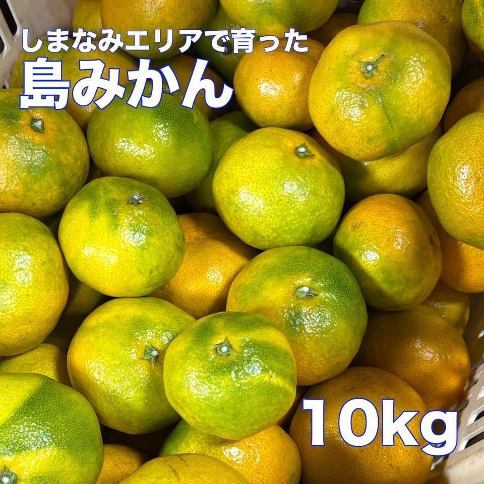 <img class='new_mark_img1' src='https://img.shop-pro.jp/img/new/icons1.gif' style='border:none;display:inline;margin:0px;padding:0px;width:auto;' />礤䡪ߤ 10ξʲ