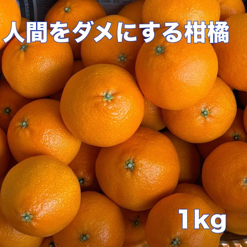 <img class='new_mark_img1' src='https://img.shop-pro.jp/img/new/icons1.gif' style='border:none;display:inline;margin:0px;padding:0px;width:auto;' />Բġۿʹ֤ˤ봻̡̾ Ȥޤɤʡˣξʲ