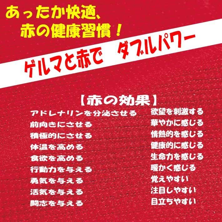 温活 インナー ストレスフリー 下着 日本製 送料無料 温活 インナー ストレスフリー 下着 日本製 送料無料