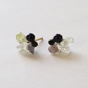 Tenpchipierced earrings / 096