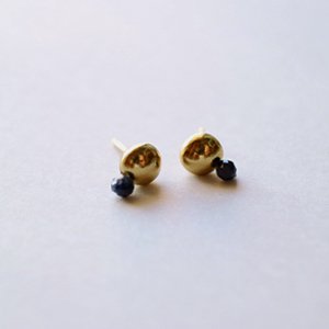 Tenpchipierced earrings /  9ե