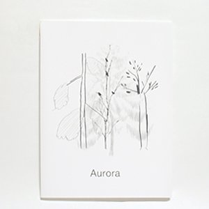 Noritake  Ť    HIMAA  / BOOK / Aurora