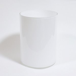 С饸 ơFlower Vase -white