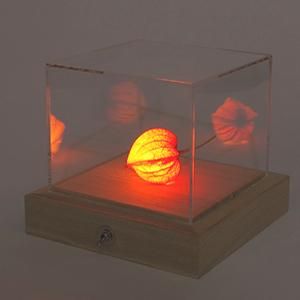 川村忠晴植物ライト壁掛け照明ランプクヌギドライフラワー