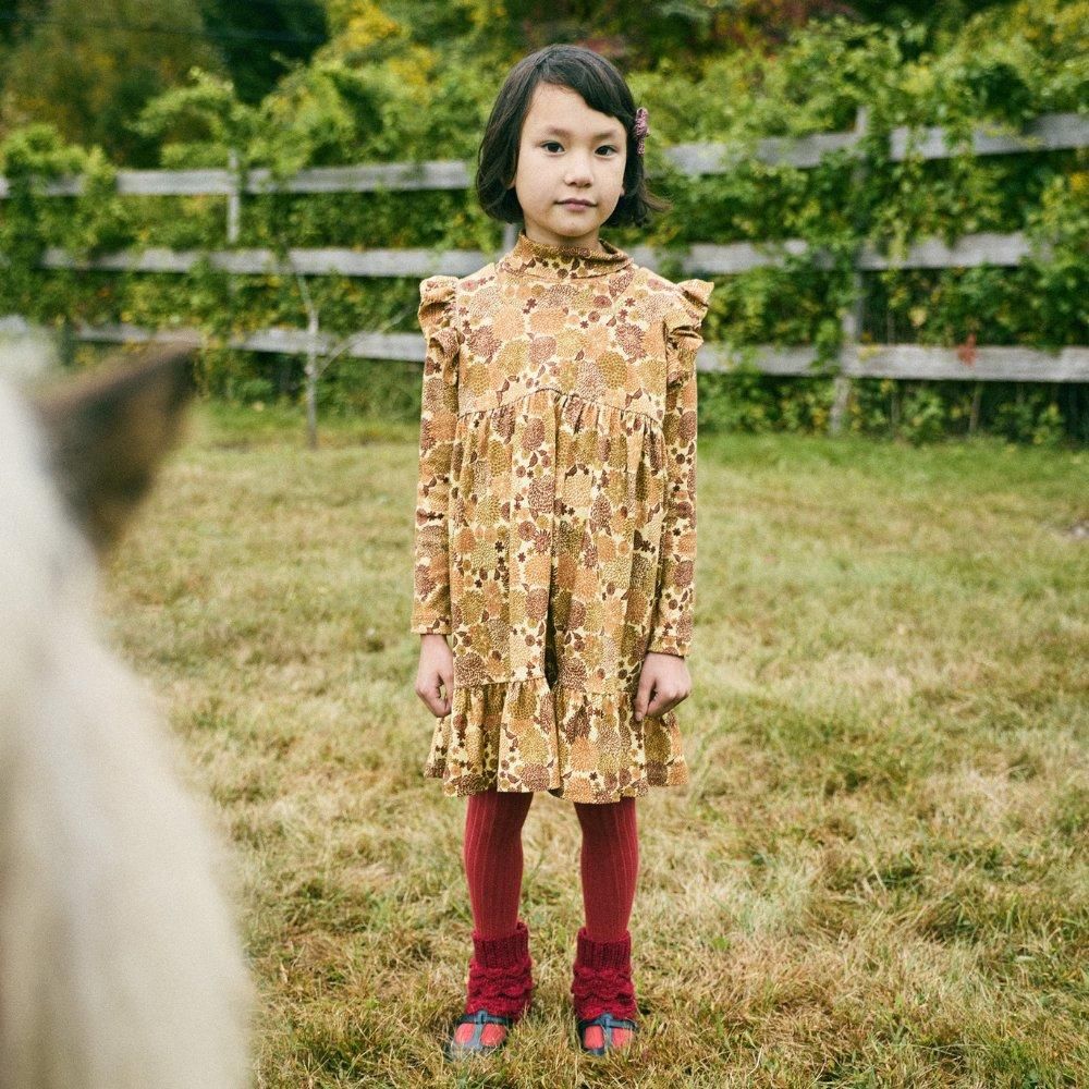 Misha & Puff Ruffle Sleeve Dress ワンピース MISHA & PUFF Ruffle Sleeve Dress (Acorn Railroad) - SEN_TO_SENCE