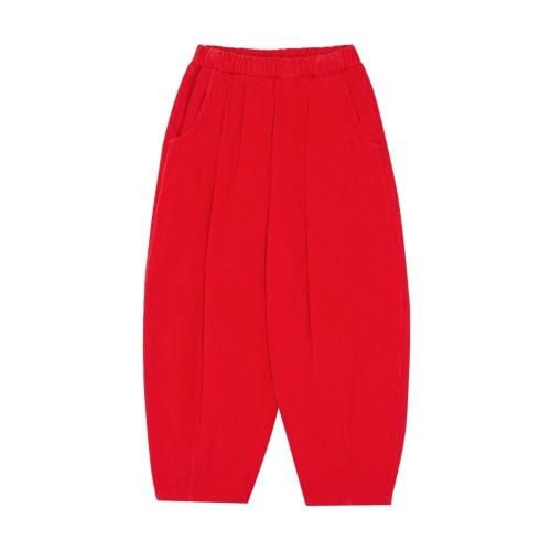 <img class='new_mark_img1' src='https://img.shop-pro.jp/img/new/icons7.gif' style='border:none;display:inline;margin:0px;padding:0px;width:auto;' />the campamentoʥ ѥȡˡRED - CORDUROY TROUSERS