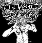 CRUCIAL SECTION / THRASHINGTON D.C Split (7