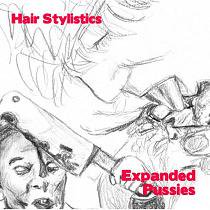 Hair Stylistics(a.k.a.中原昌也) 『Expanded Pussies』 (CD/JPN/OTHERS)