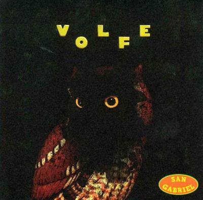 San Gabriel VOLFE (CD/US/ ELECTRO)֥åեDJߥåDL